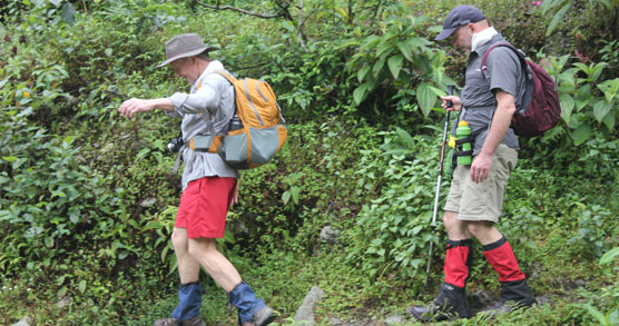 Trekkers on the trail